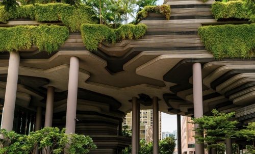 VÉGÉTALISER L&rsquo;ARCHITECTURE – murs et toits végétaux – LUN 30 NOV + MAR 01 DEC + JEU 03 DEC + VEN 04 DEC 2026